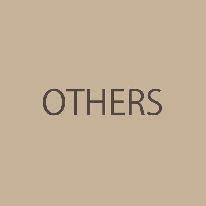 02 Japan &quot;others&quot;　その他